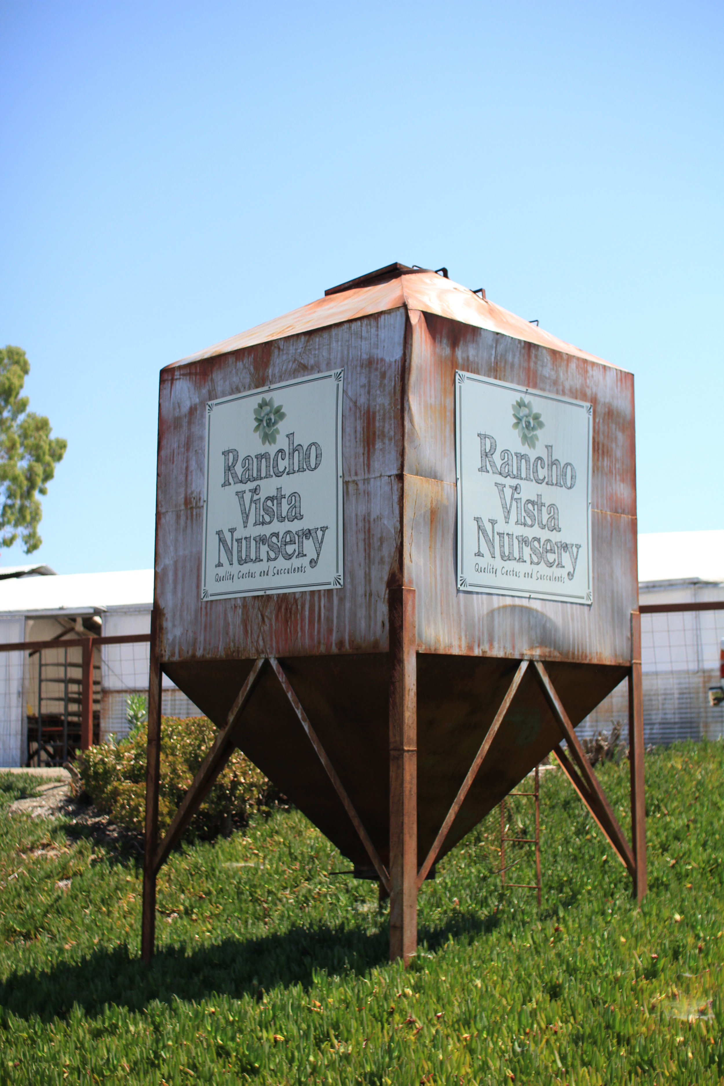 Rancho Vista Nursery in Vista, California. Quality cactus and succulents sold wholesale to the trade and public.